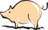 Shiny Pig Clip Art